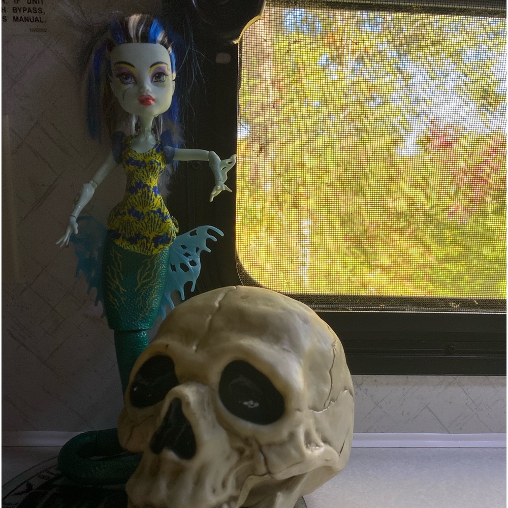 Monster high doll 😍
